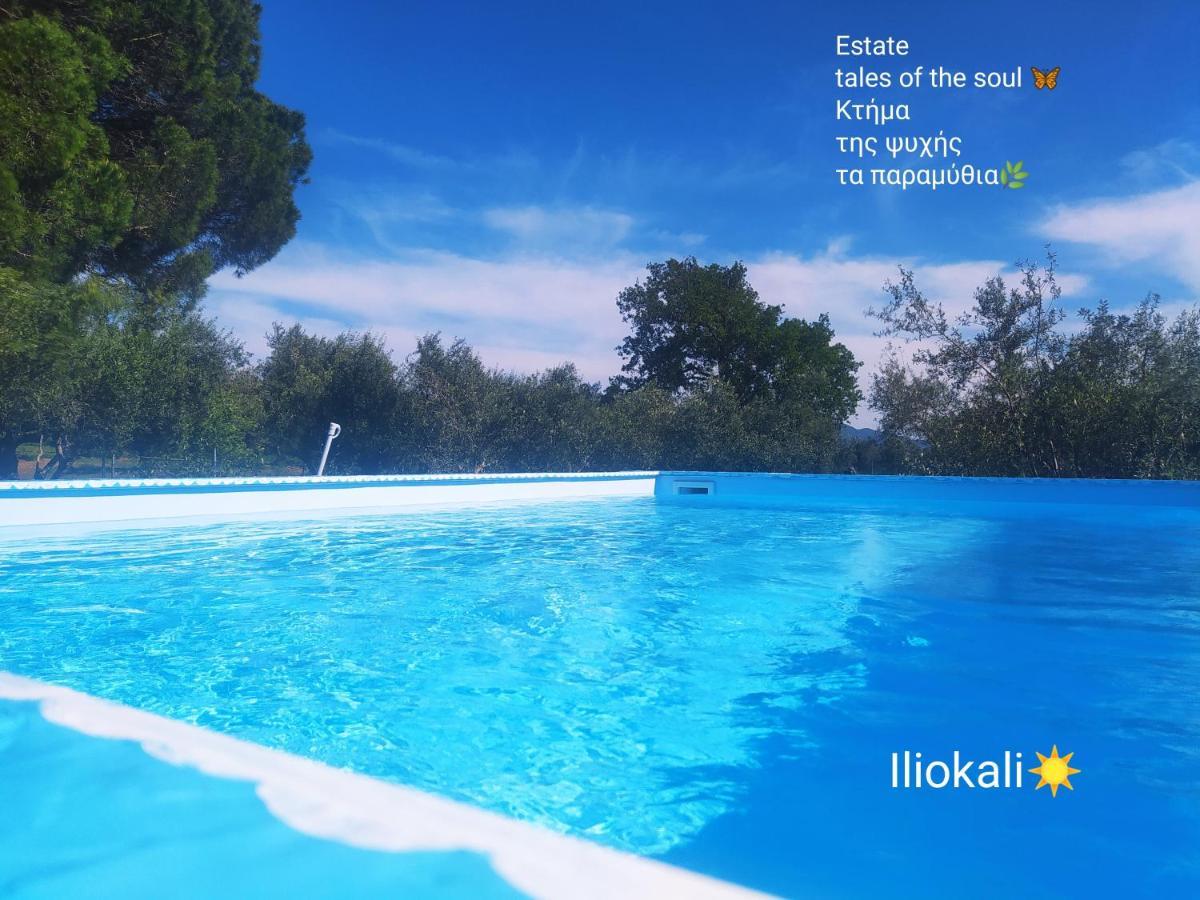 Bungalows With Private Pools "Tales Of The Soul - Της Ψυχής Τα Παραμύθια" Anemochori Exterior foto